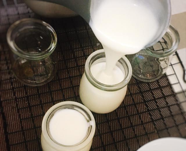 简单自制酸奶（面包机版）的做法