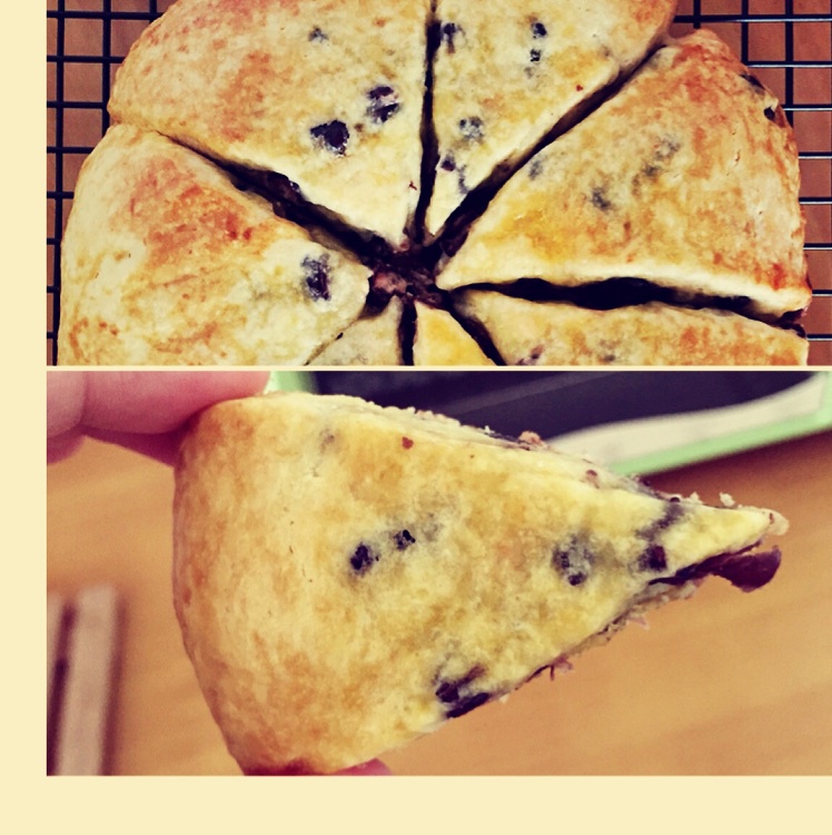 葡萄干司康（酵母版）