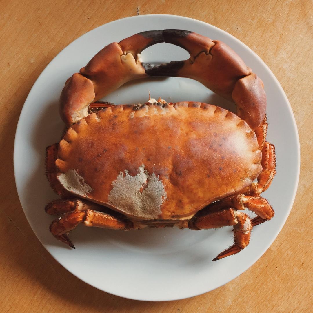 清蒸面包蟹