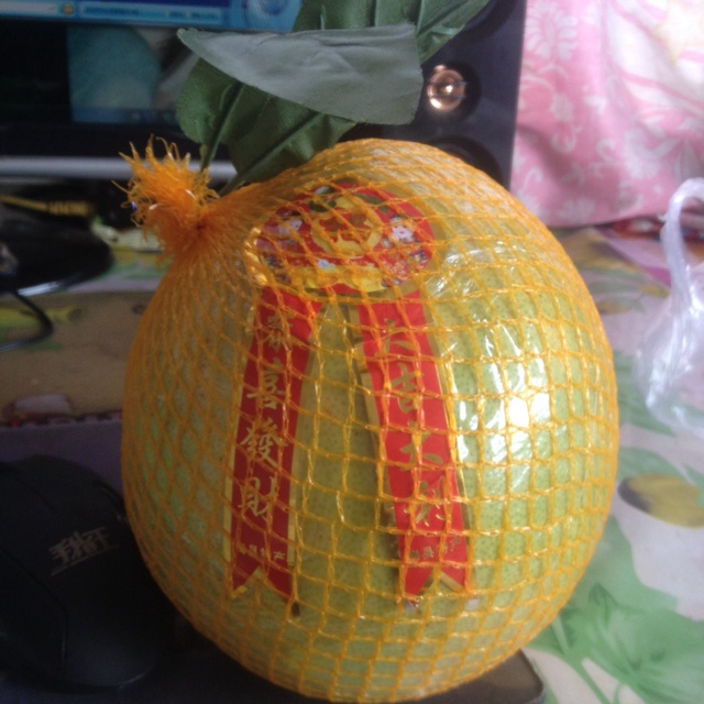 午餐•2014年9月8日