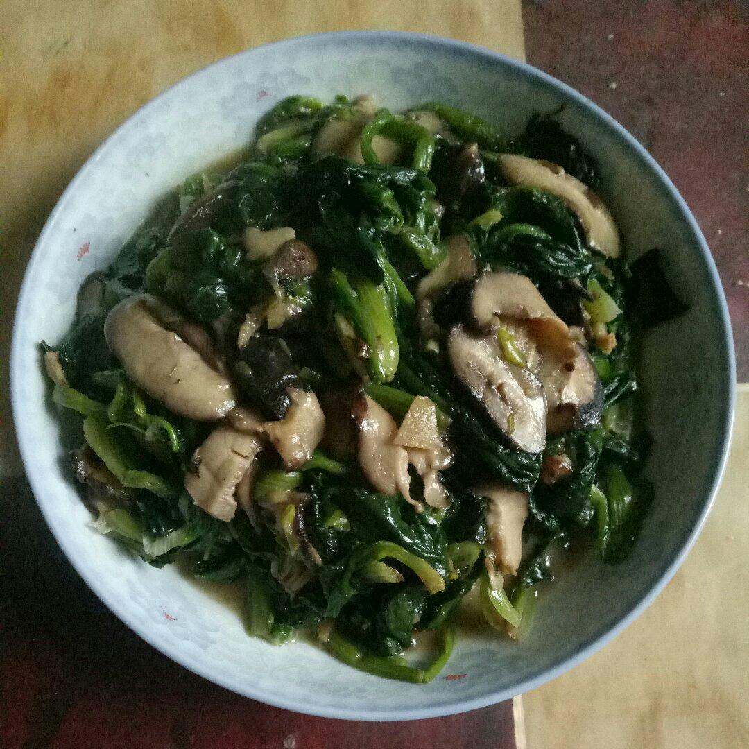 菠菜炒蘑菇