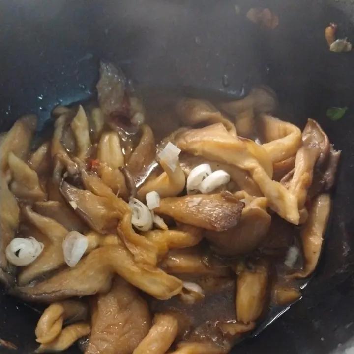 超鲜美的蘑菇