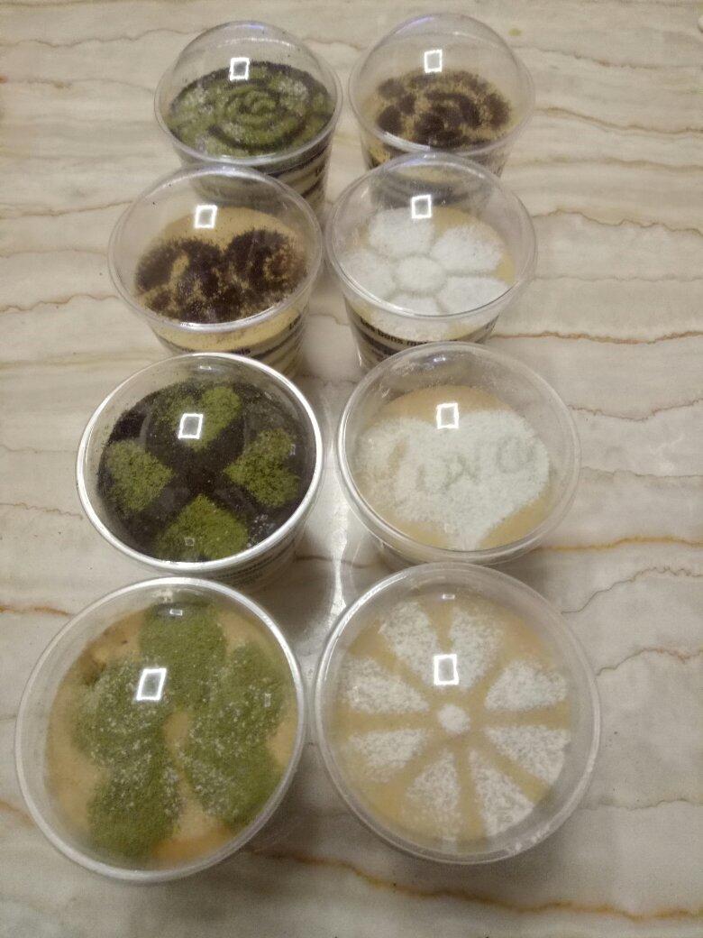 简单的木糠杯