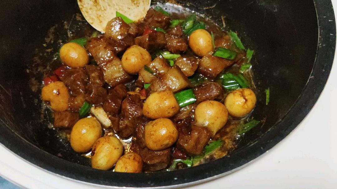 加了鹌鹑蛋后，这盘红烧肉，美味的逆天啦——鹌鹑蛋烧肉（孔瑶食谱）