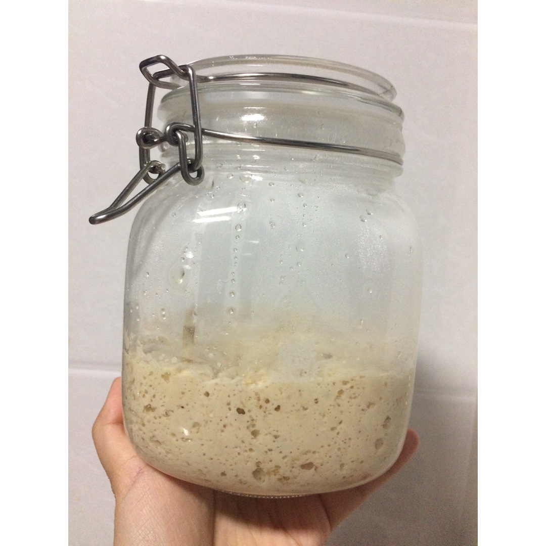 天然酵母宝宝养成记