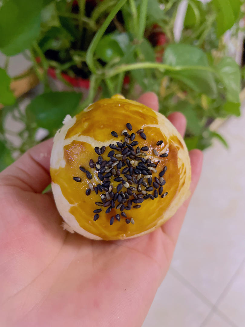 蛋黄酥（放置几天也很酥）