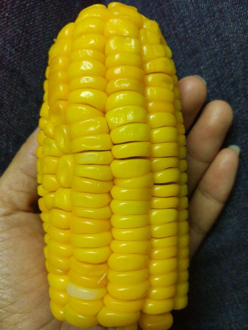 早午晚餐