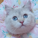 璇宝的便当