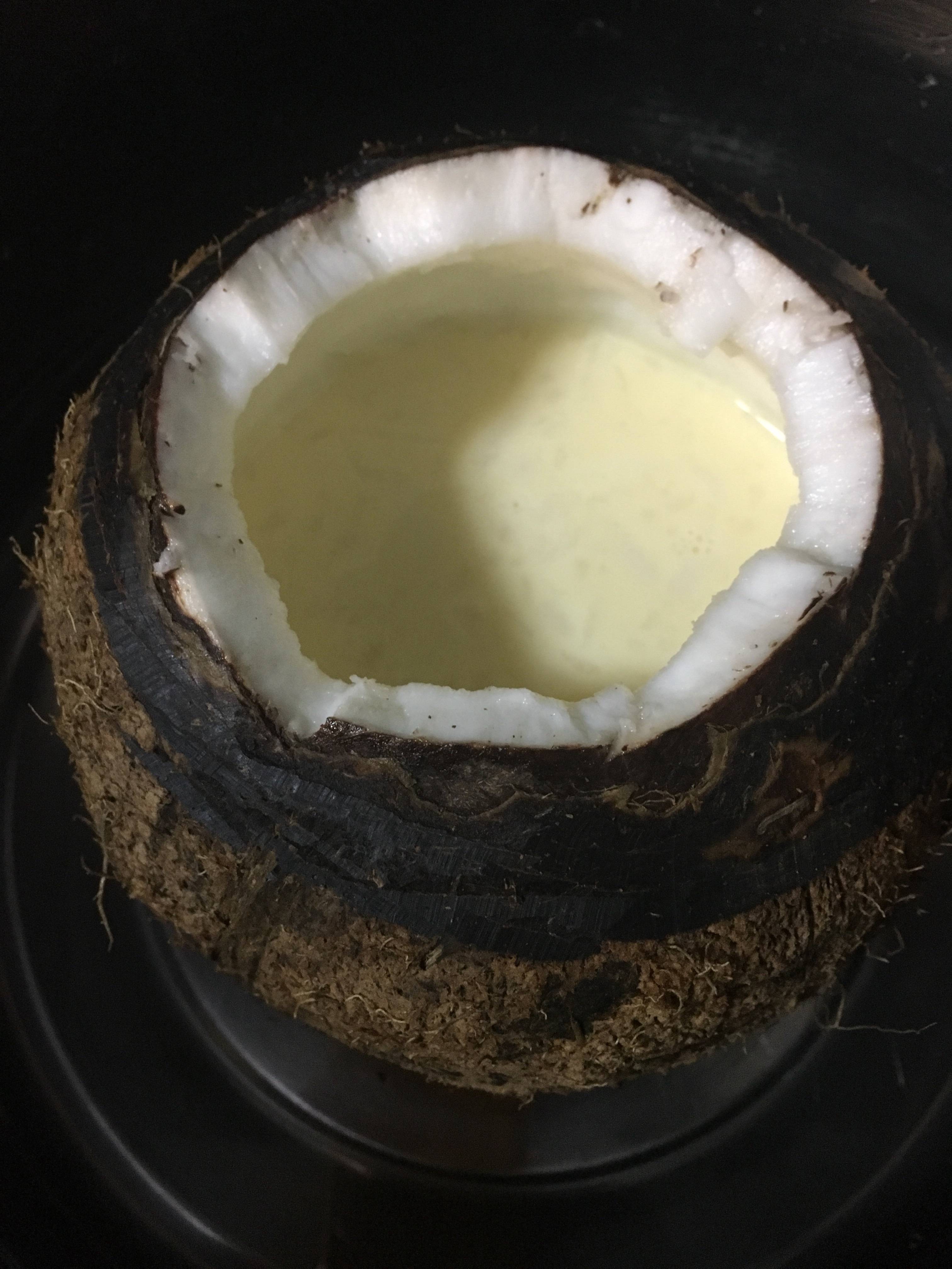椰子炖蛋的做法
