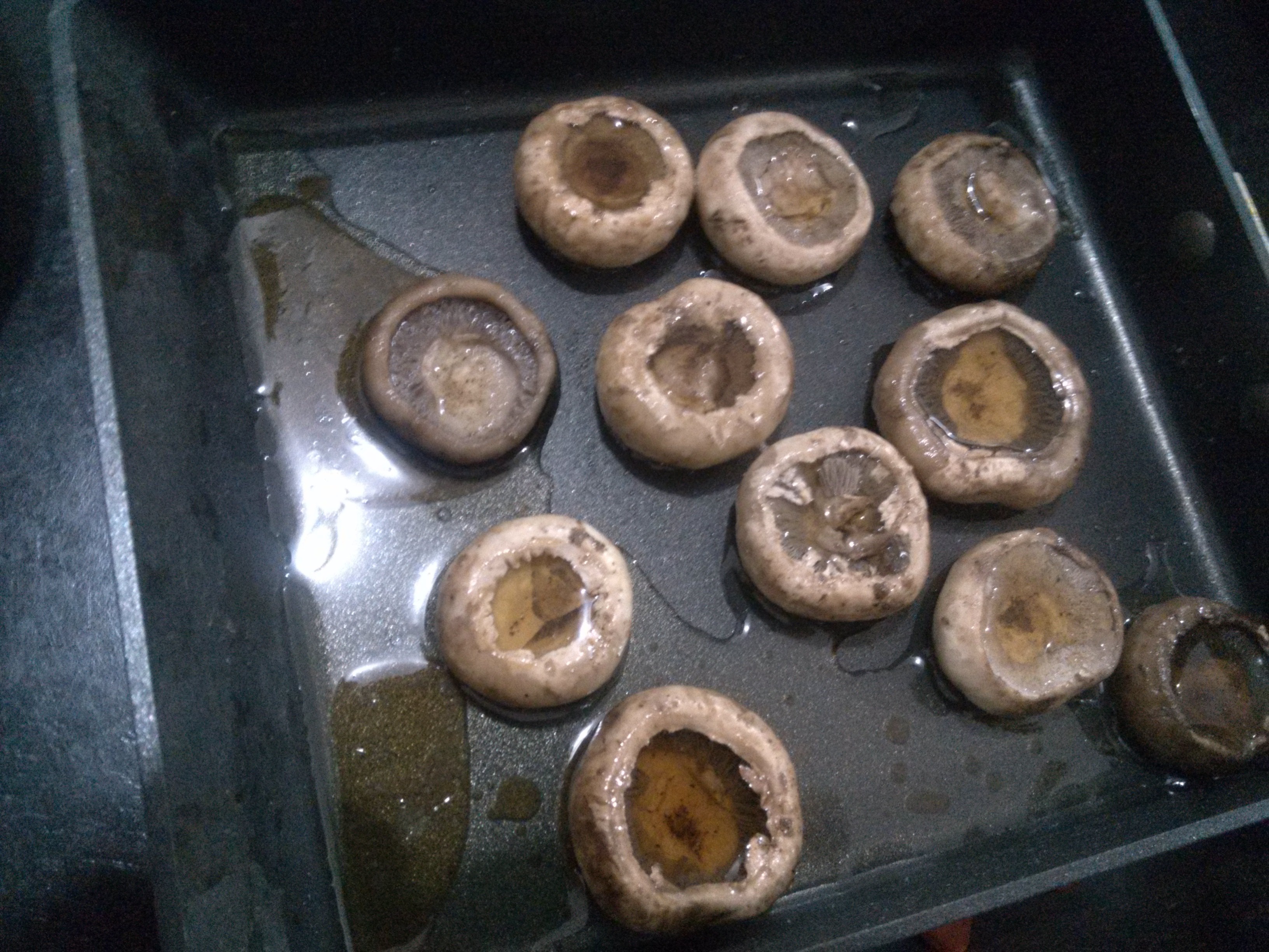 原汁原味的蘑菇