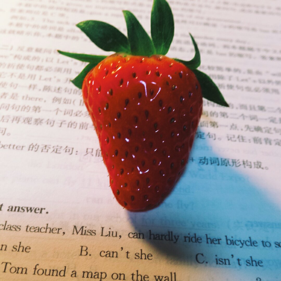 今冬第一颗草莓