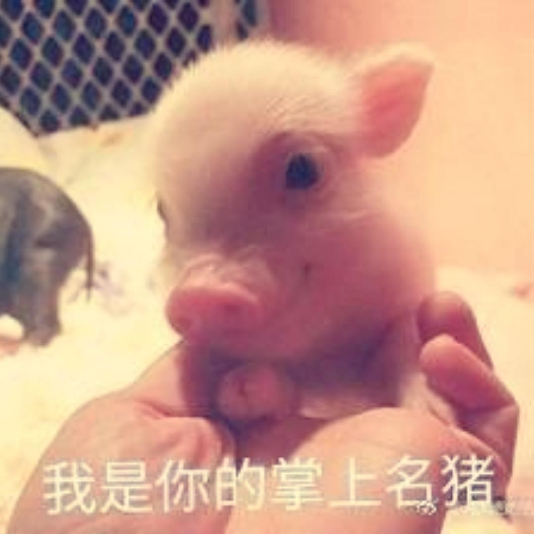 黑嘿黑嘿黑
