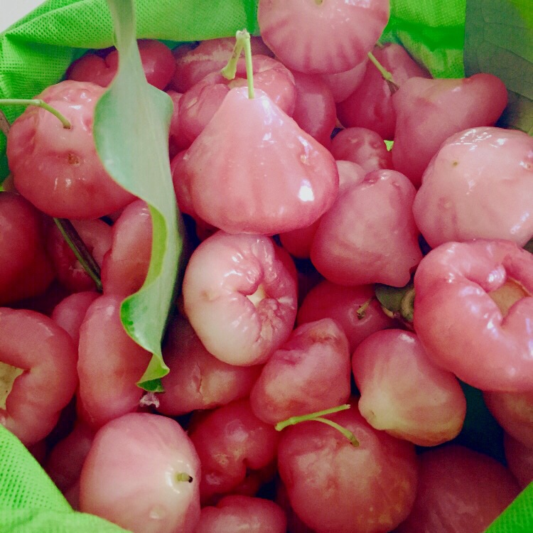 莲雾的全部作品