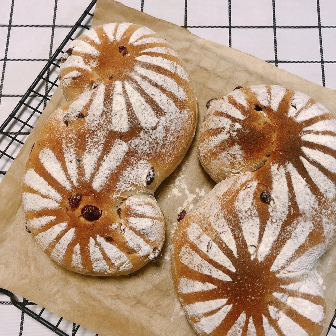 面包店里的常客——蔓越莓奶酪软欧