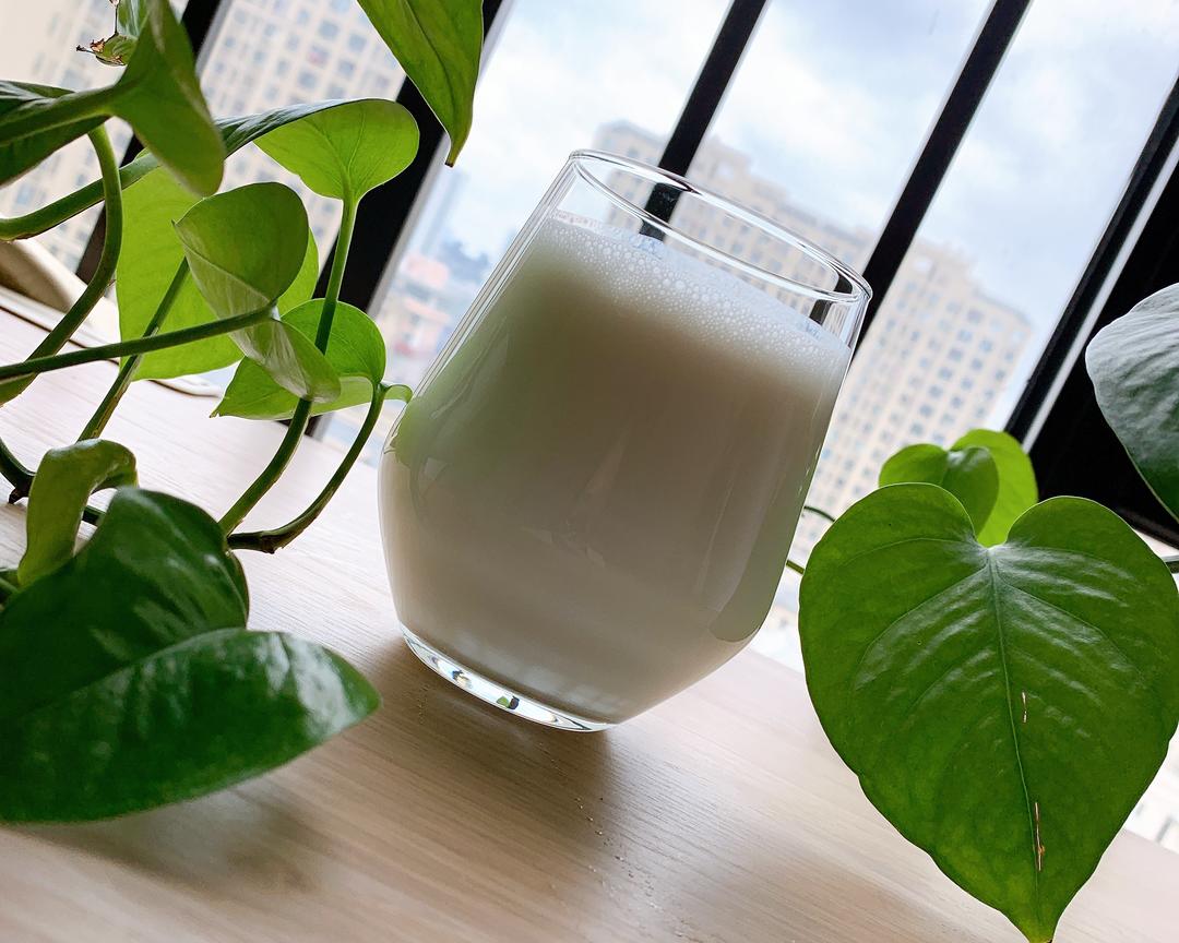 【沐沐酱下厨札记】纯天然椰奶的做法