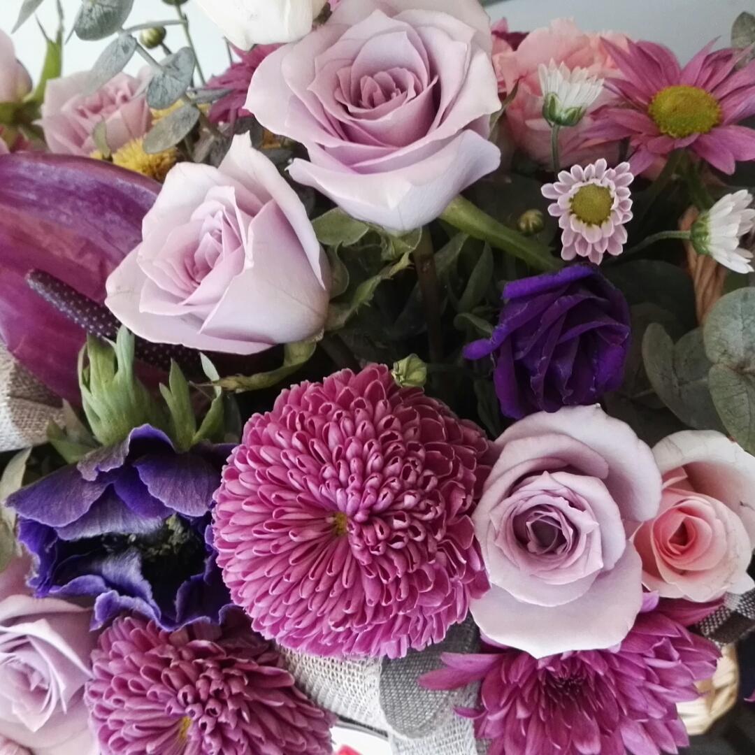 沿途的美景_1706