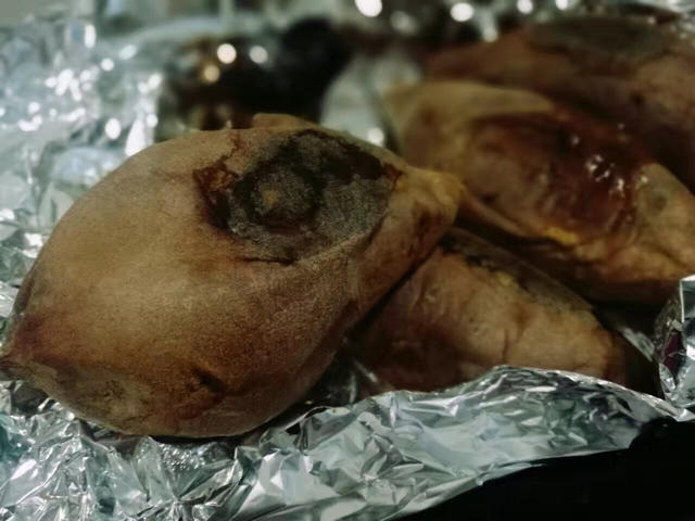 烤地瓜（烤箱初试）