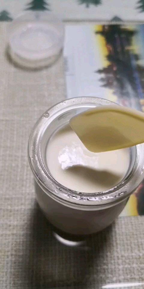 超好吃挂杯不倒“老酸奶”-新手零难度