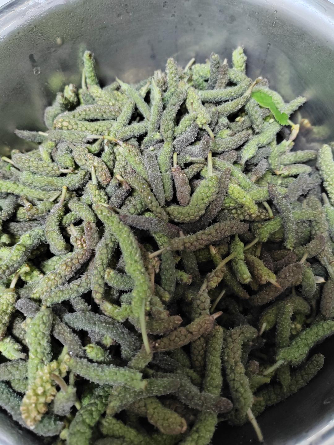 蒸构树穗苟普穗