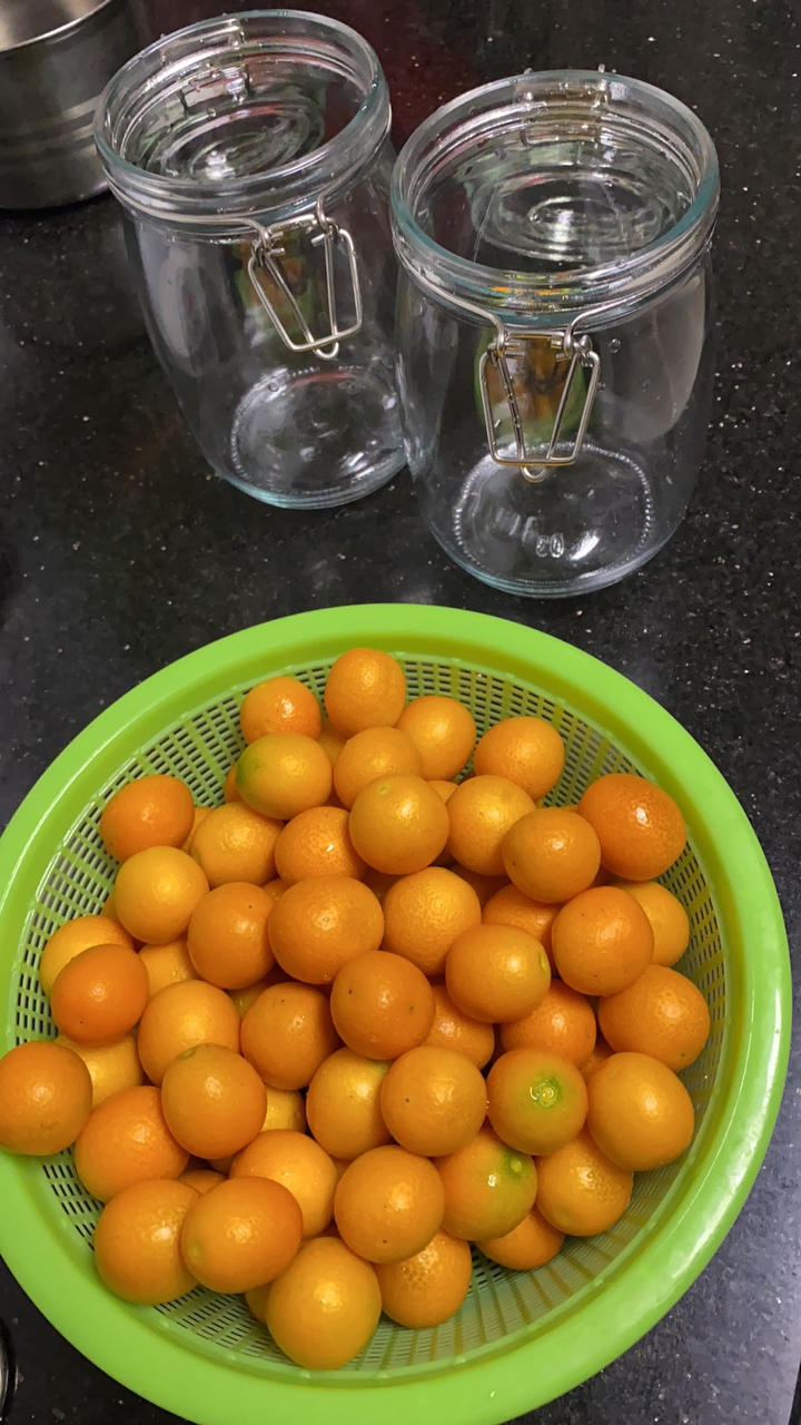 可以传承的咸金桔