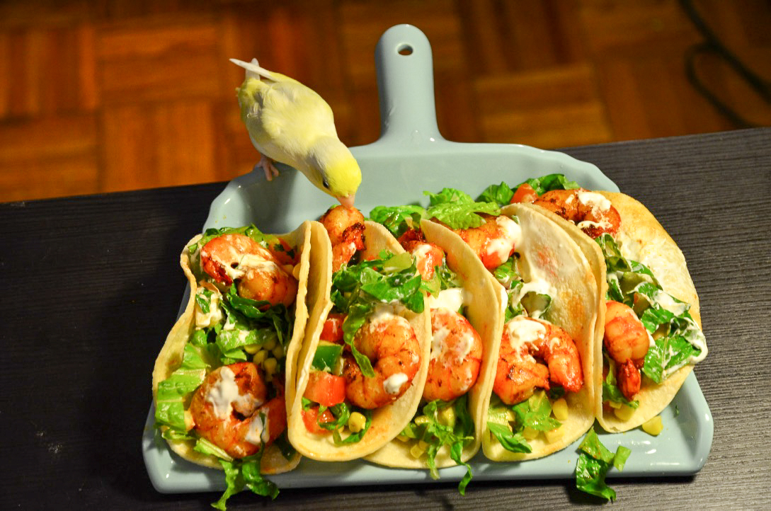 墨西哥夹饼Shrimp Taco的做法