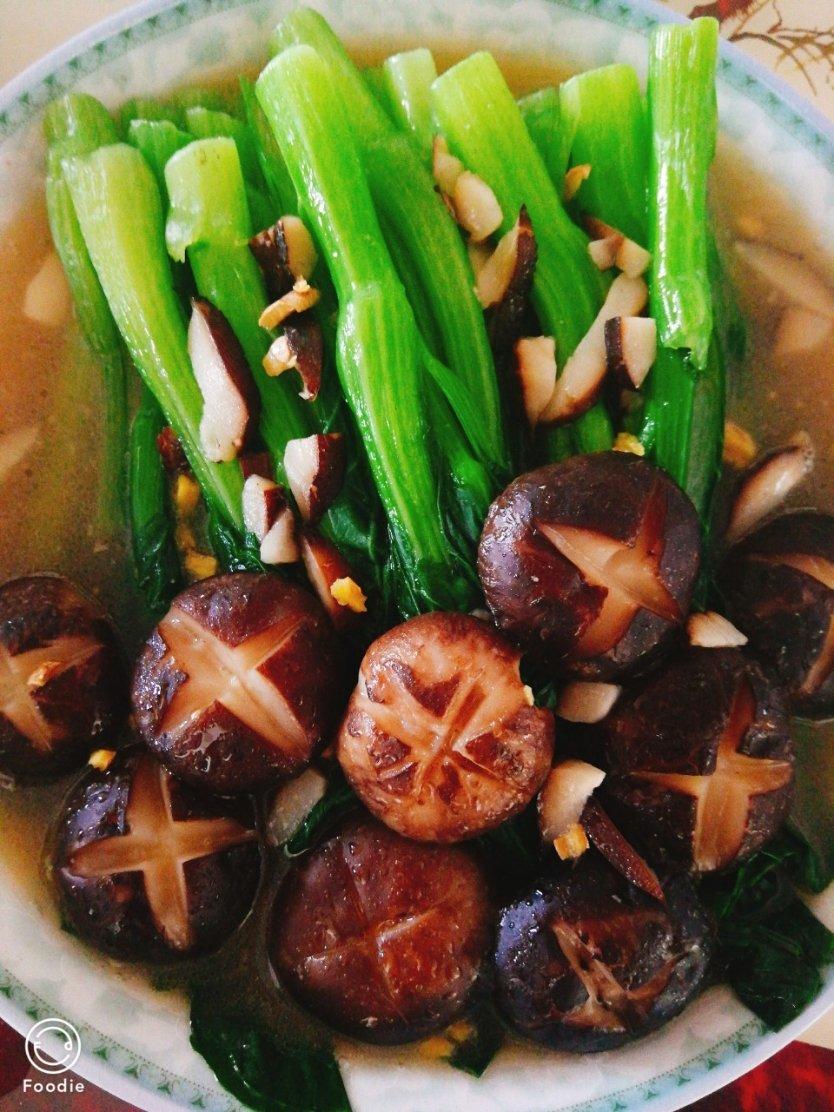 蚝油香菇小油菜