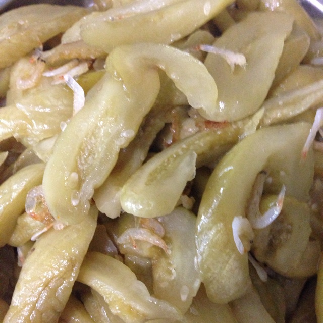 酱瓜的全部作品