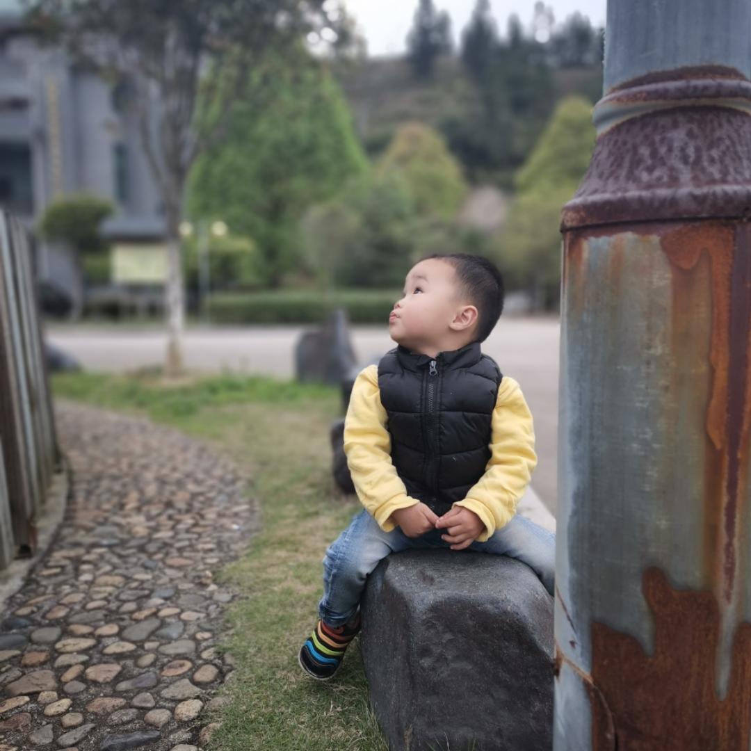 晓鱼日记