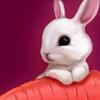 兔兔爱偷胡萝卜