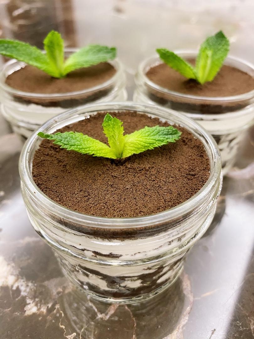 Bakingpie-奥利奥木糠杯