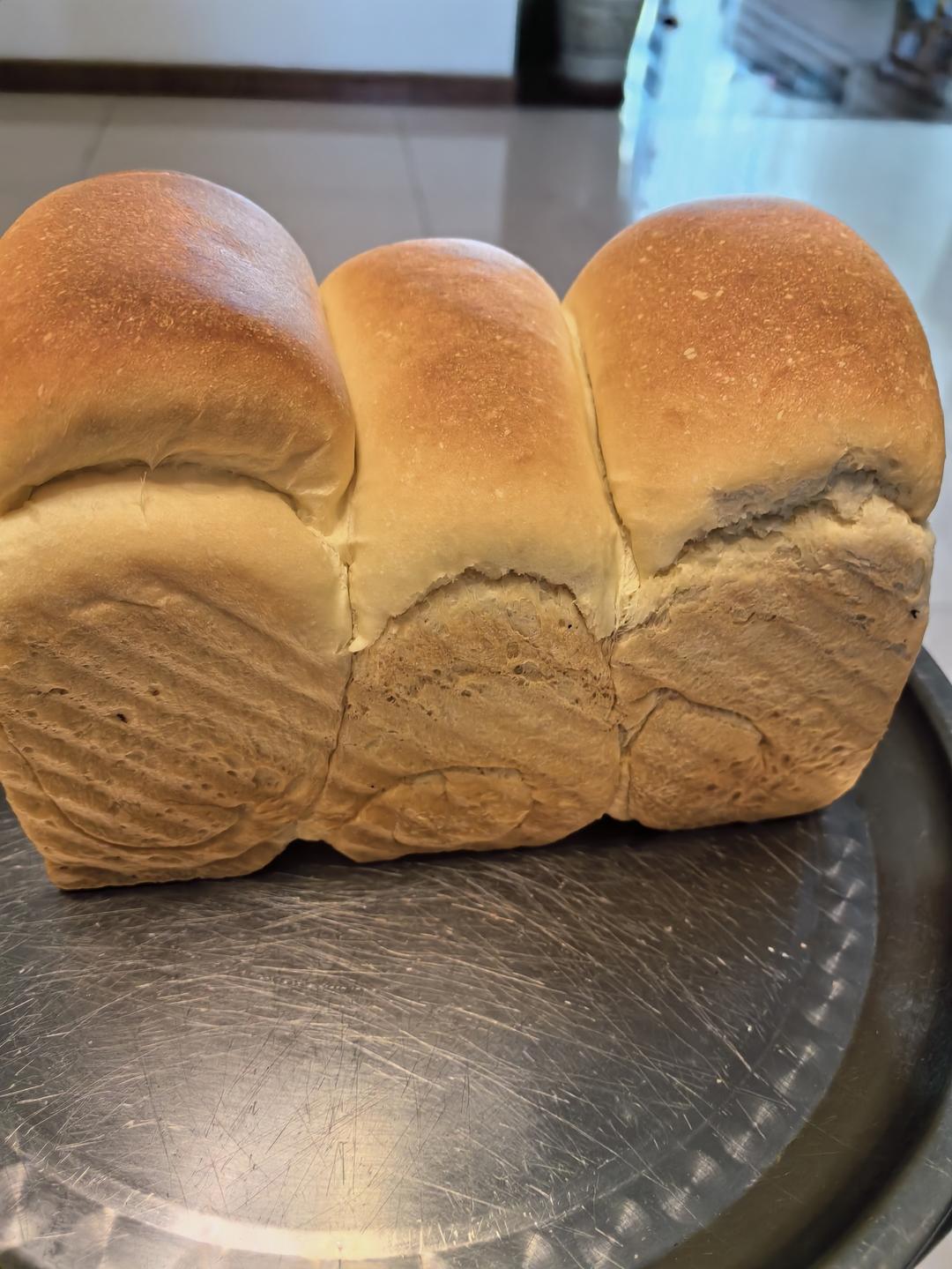 夺命软吐司(๑´ڡ`๑)超软拉丝极速方便的一次发酵吐司