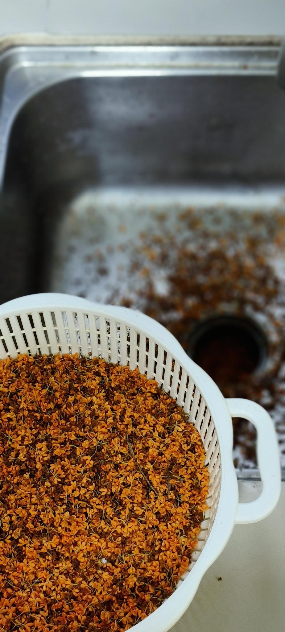 分享几种知道的桂花蜜方法┇摘掉桂花,做点桂花蜜,留住秋天的甜美的做法