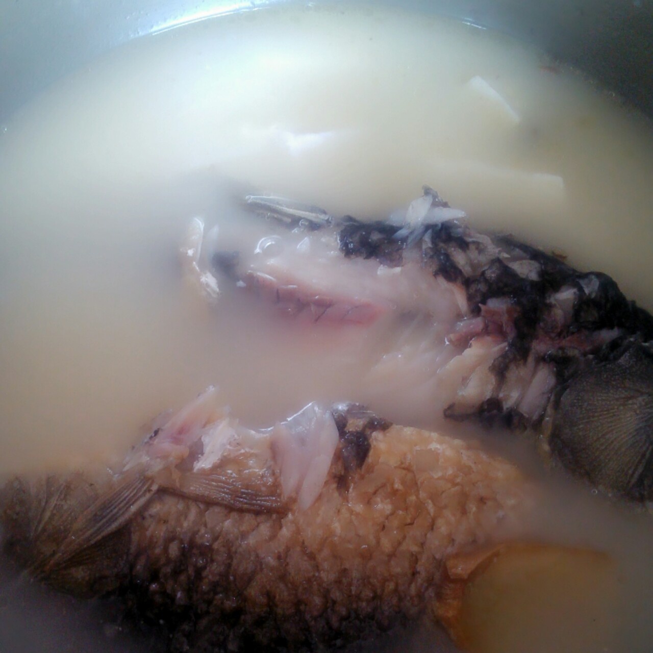 奶白鲫鱼汤