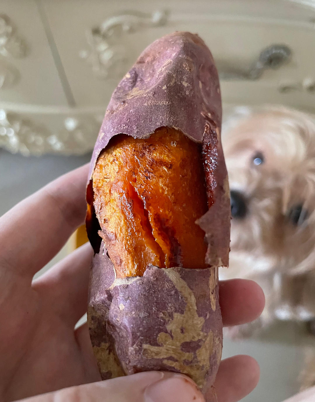 空气炸锅烤红薯(软糯流糖，一个吃不够)