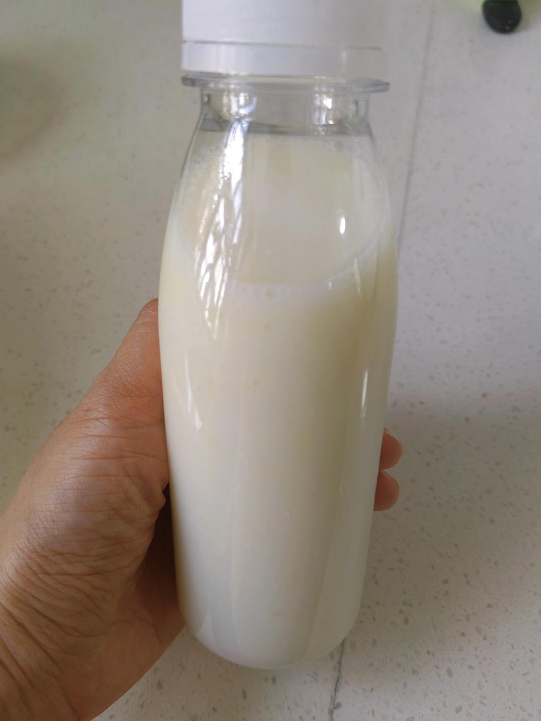 纯鲜榨糯玉米（生玉米版/像米糊）