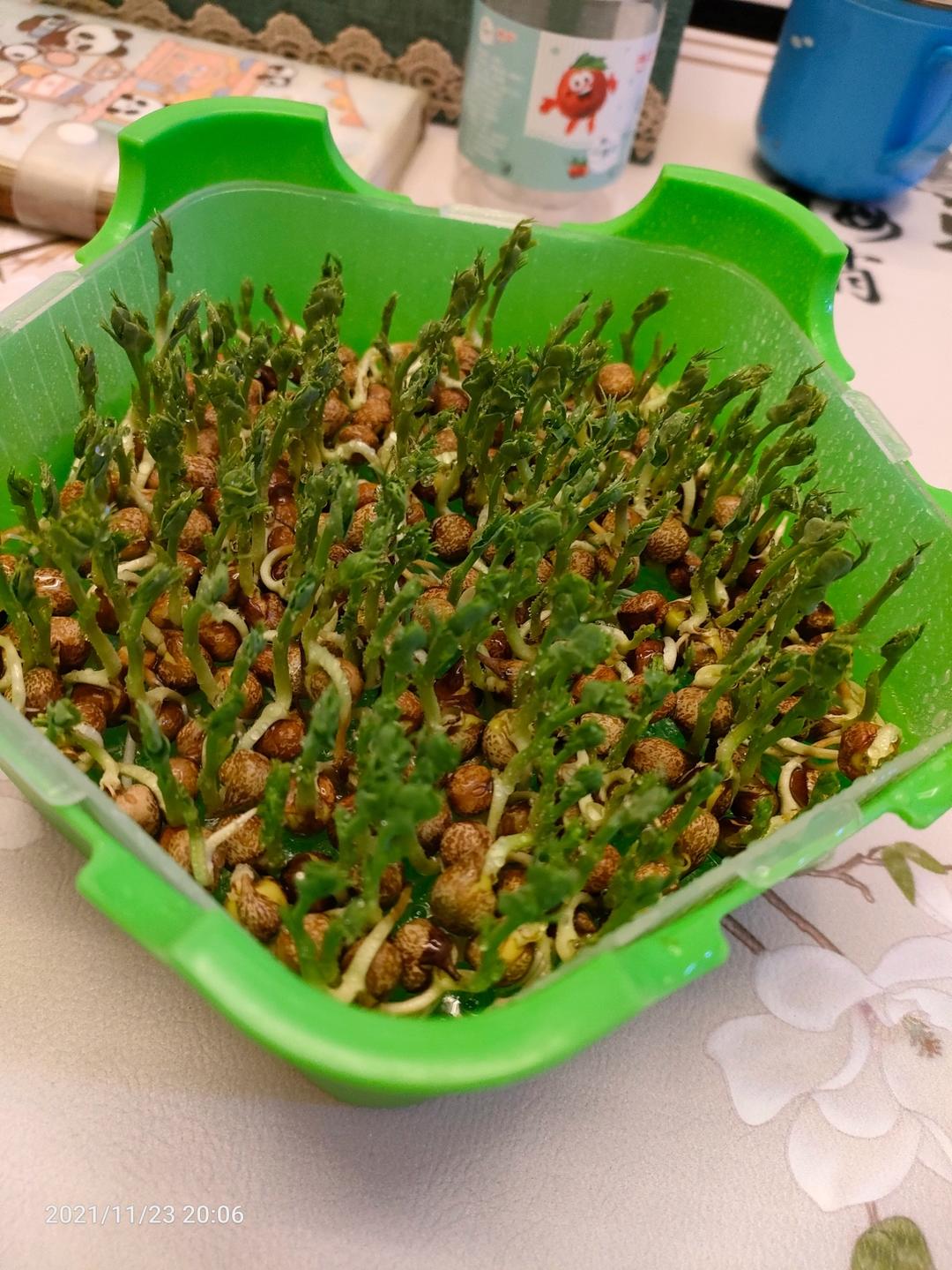 豌豆苗炒鸡蛋，这一口鲜~