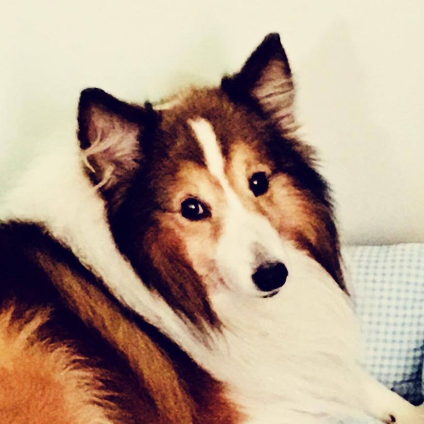 手机用户0780_icgz