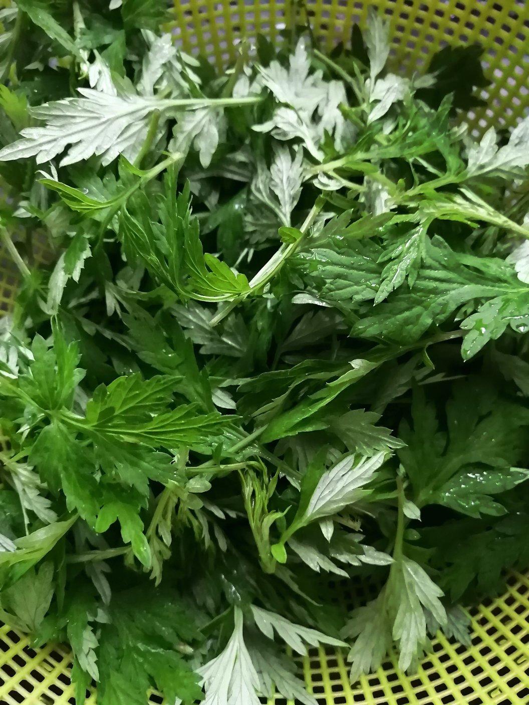 艾糍（清明果、青团