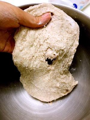 香甜手撕全麦果干面包的做法 步骤3