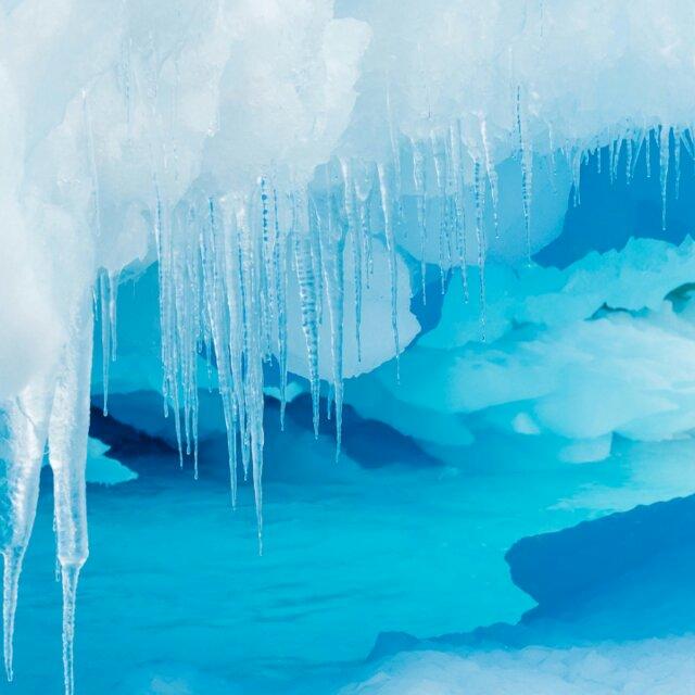 ZOE11-瘦着活下去