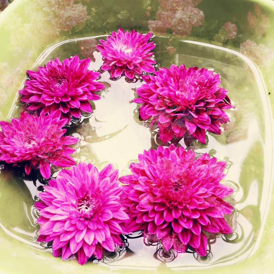 我有一朵花