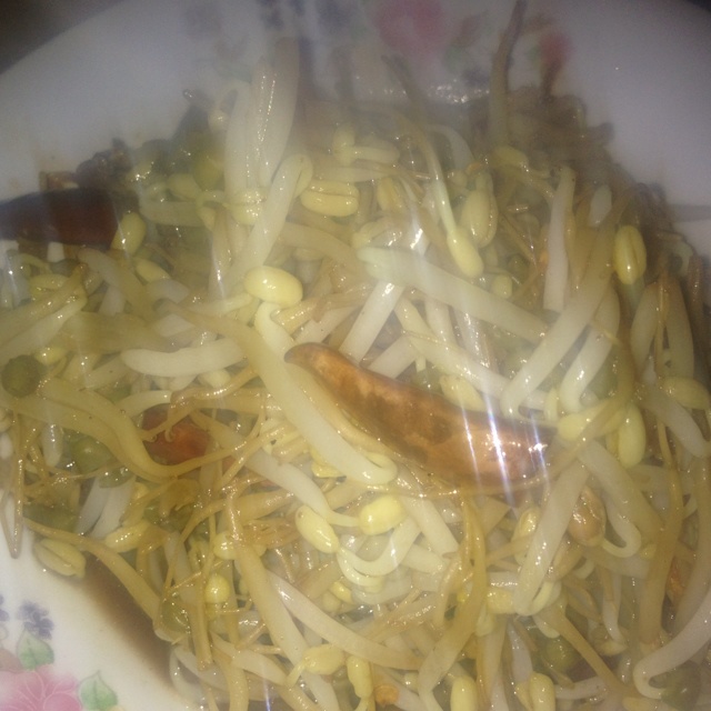 酸辣炝拌绿豆芽
