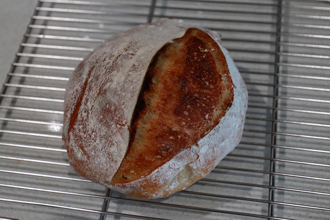 sourdough爱心制造记录