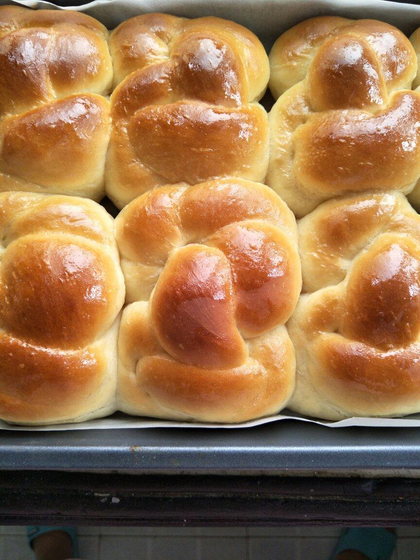 老面包（爱和自由）