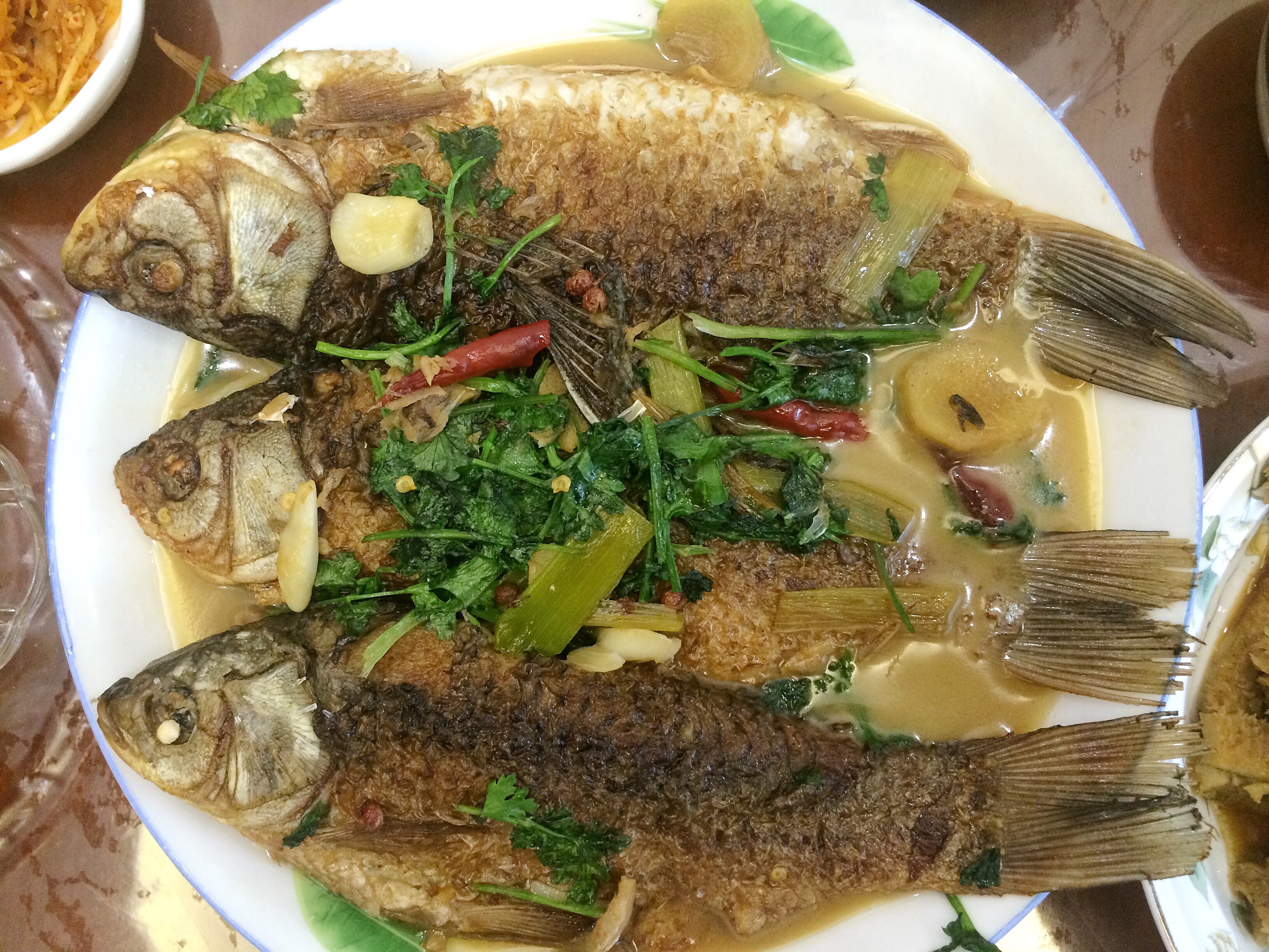 红烧鲫鱼—老爸家常菜的做法 步骤10