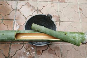 炭烤竹筒饭的做法 步骤1