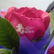 老虎i吃鱼