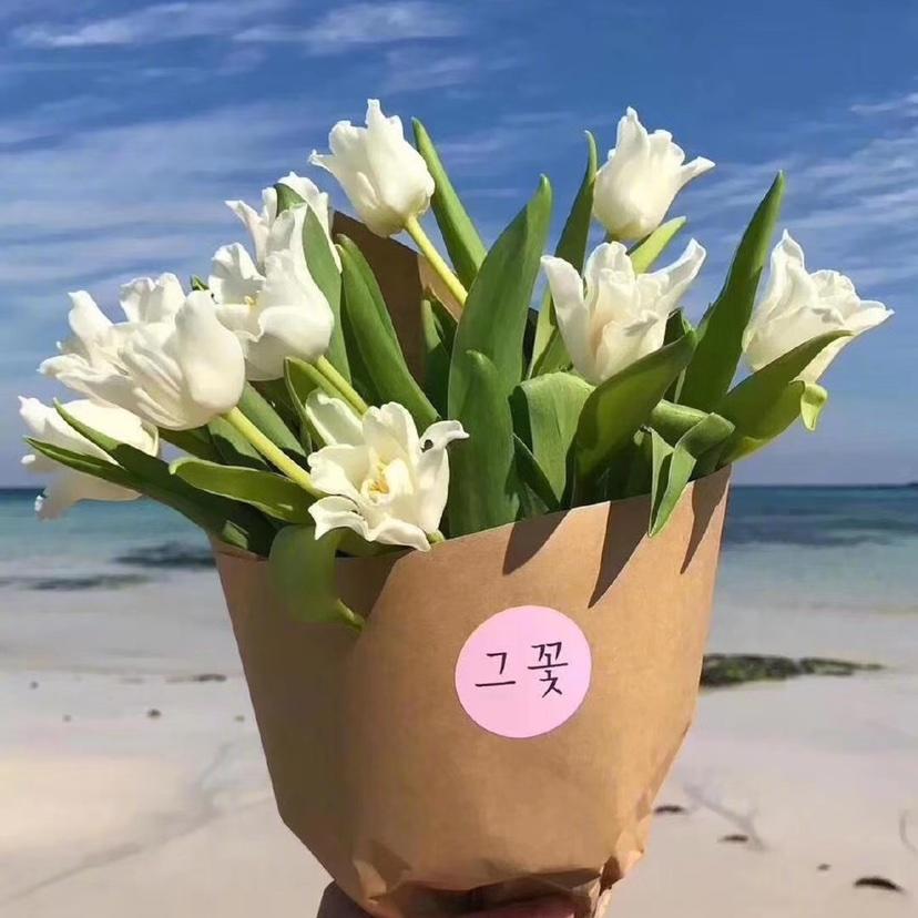 我在那一角落患过的伤风