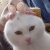 安.宝蓝/微笑