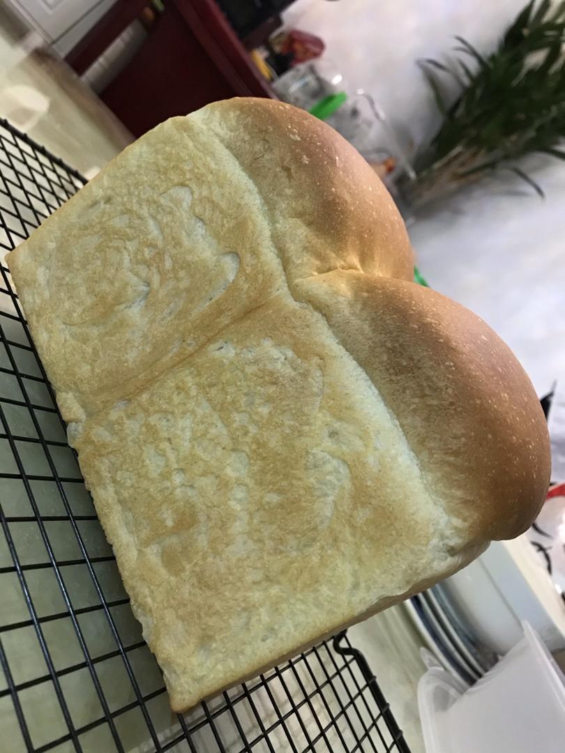 黑麦烫种土司